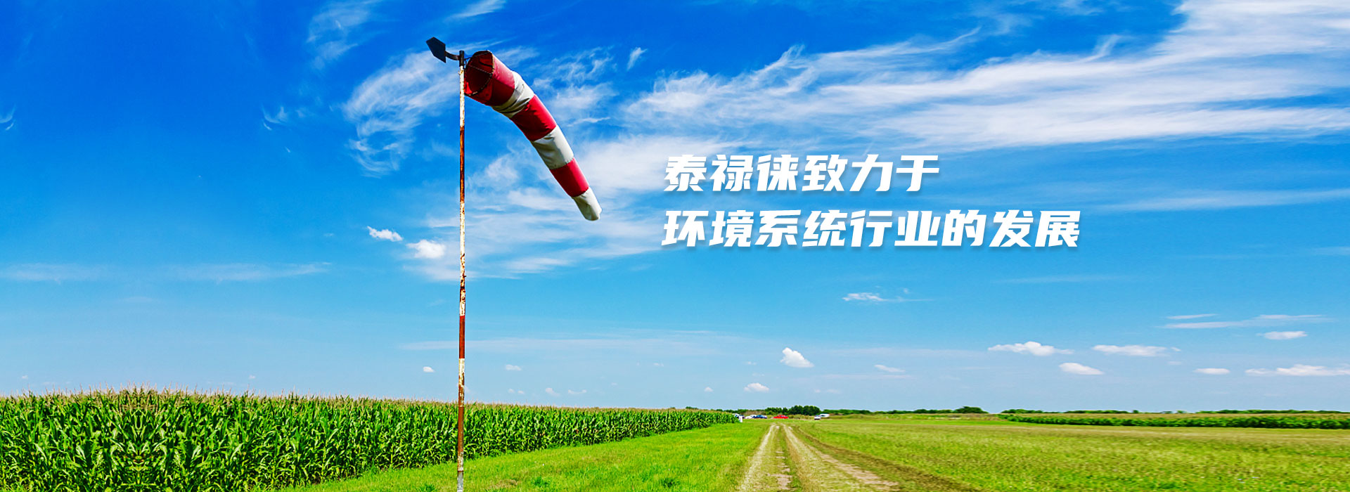  武漢泰祿徠環境係統（tǒng）有限（xiàn）公司